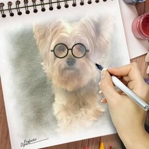 Meet your Posher, Lori